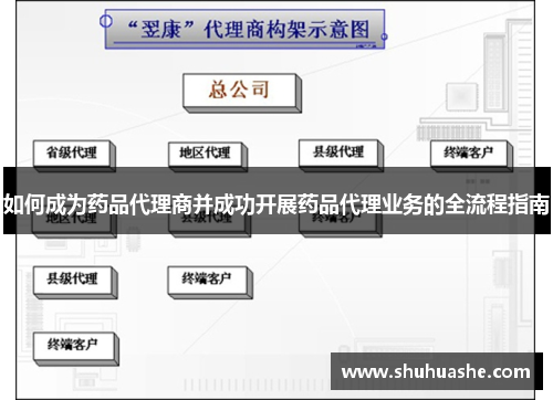 如何成为药品代理商并成功开展药品代理业务的全流程指南